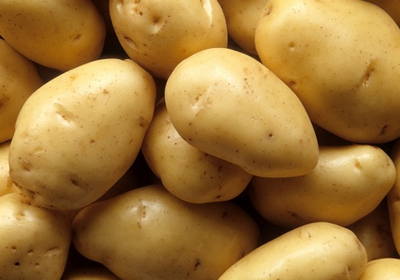  How to keep Potato’s from Sprouting 